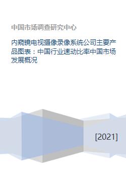 內(nèi)窺鏡電視攝像錄像系統(tǒng)與軟件開發(fā) 中國(guó)市場(chǎng)發(fā)展概況及行業(yè)速動(dòng)比率分析