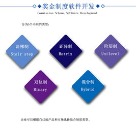 直銷軟件開發(fā) 打造高效便捷的營(yíng)銷體系